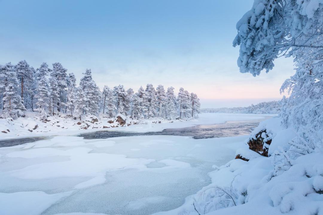 Photo of Others in Inari