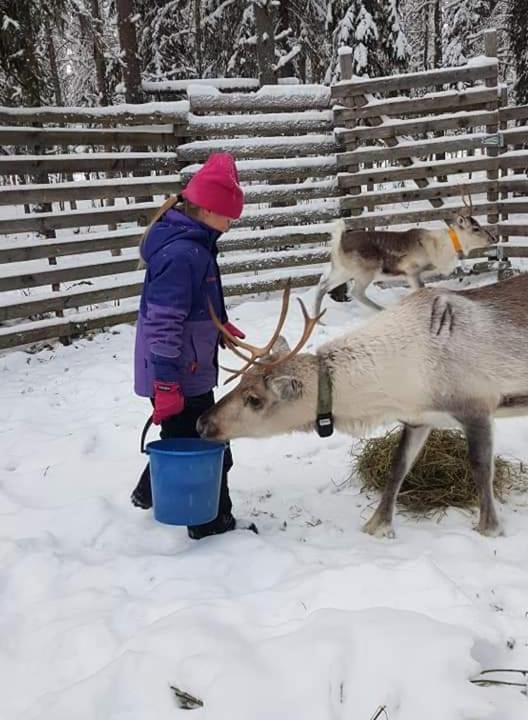Photo of Others in Pudasjarvi