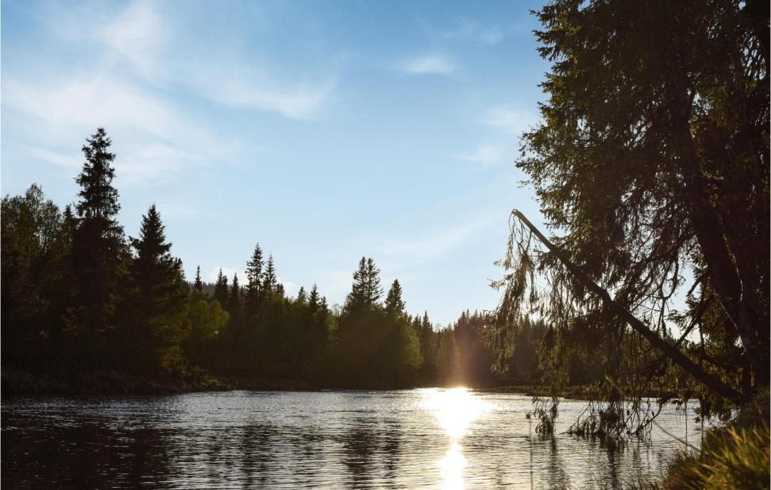 Photo of Outdoor in Lillehammer