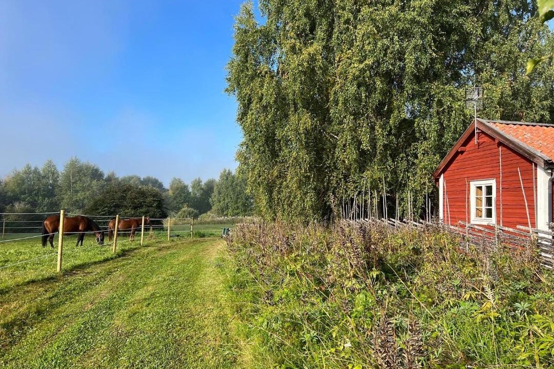 Photo of Buildings in Ljusdal