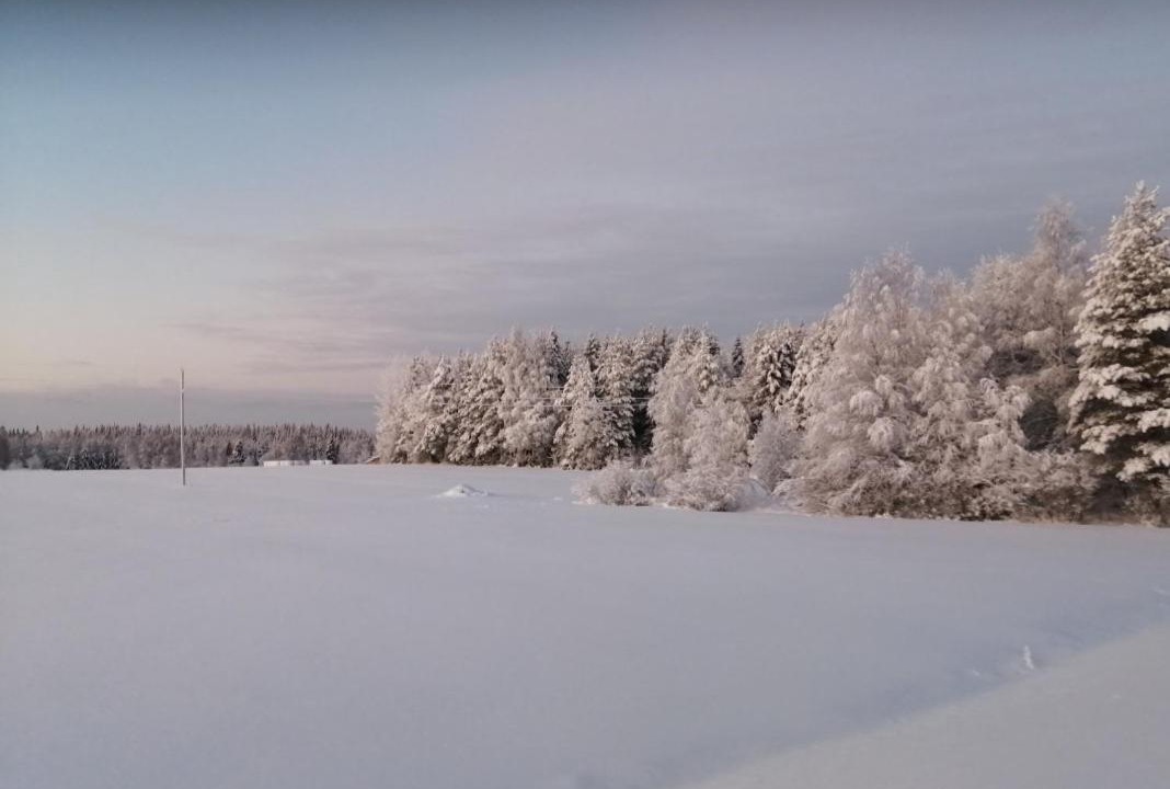 Photo of Others in Rovaniemi