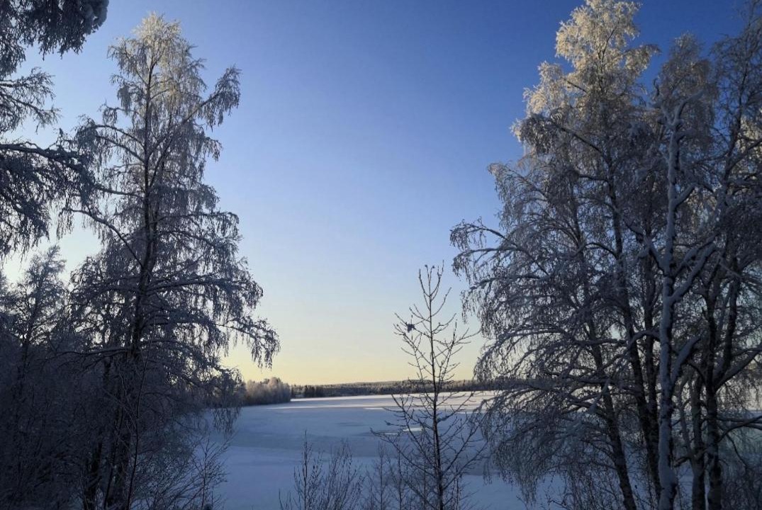 Photo of Others in Rovaniemi