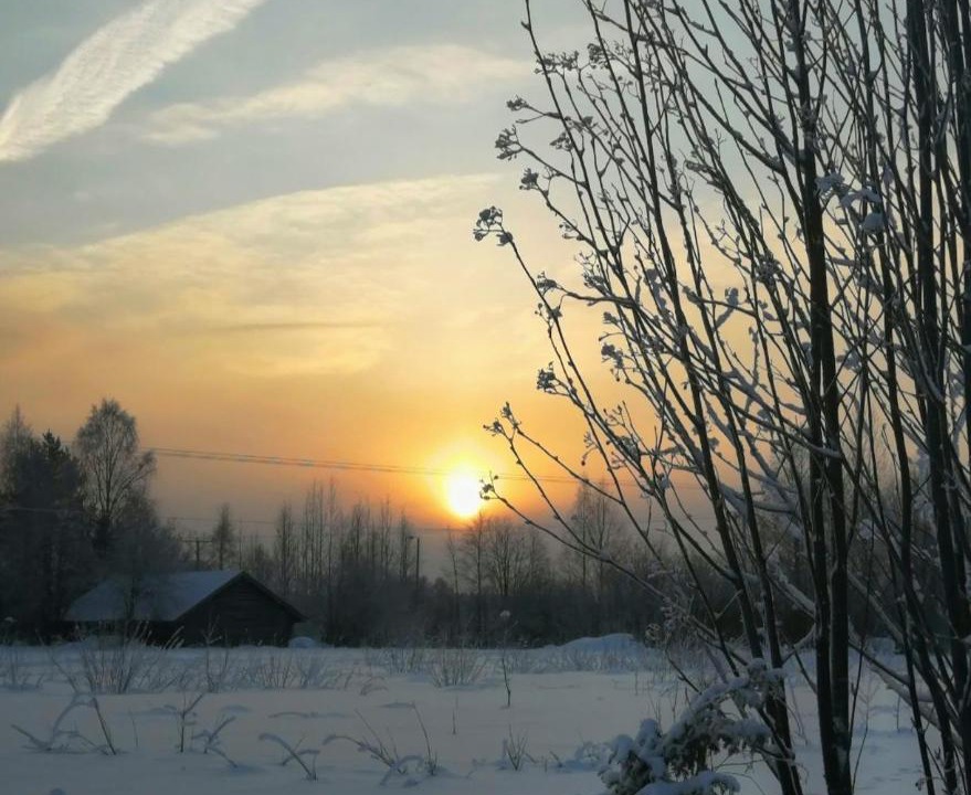 Photo of Others in Rovaniemi
