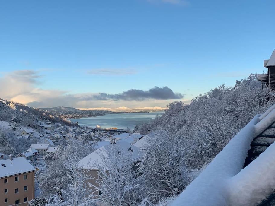 Photo of Others in Laksevag
