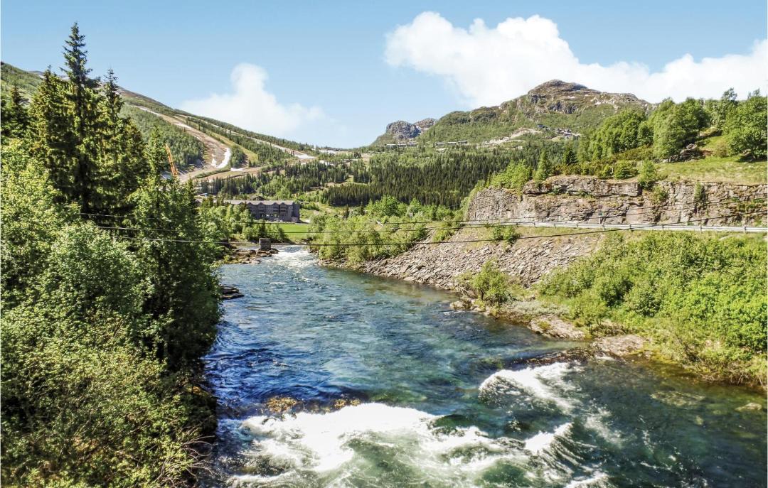 Photo of Others in Hemsedal