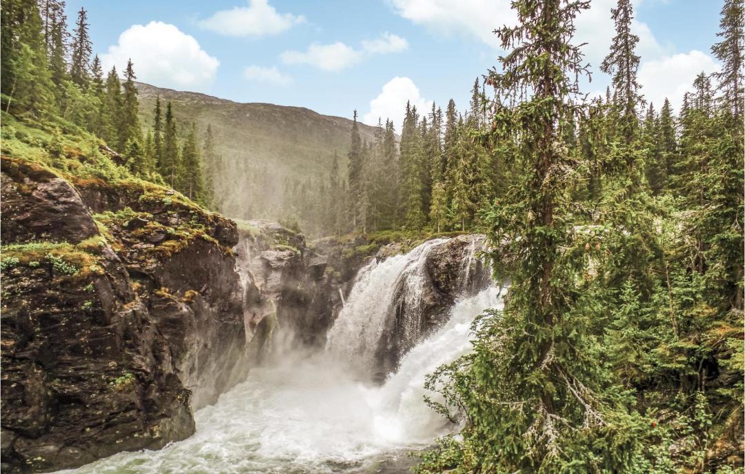 Photo of Others in Hemsedal