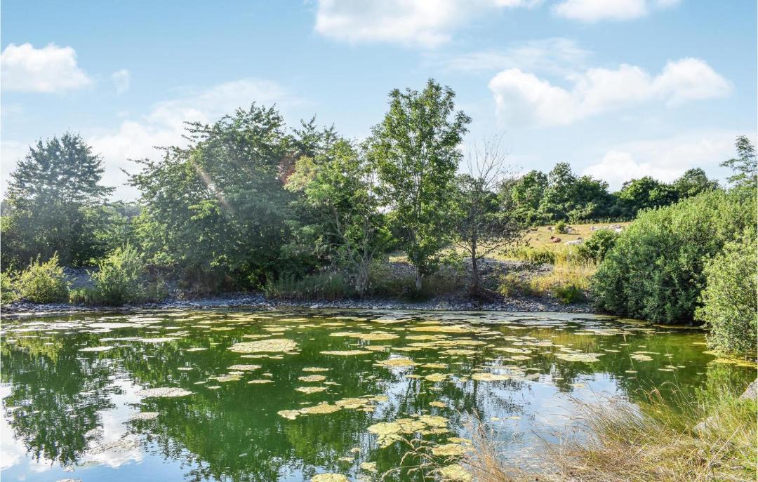 Photo of Outdoor in Listarum