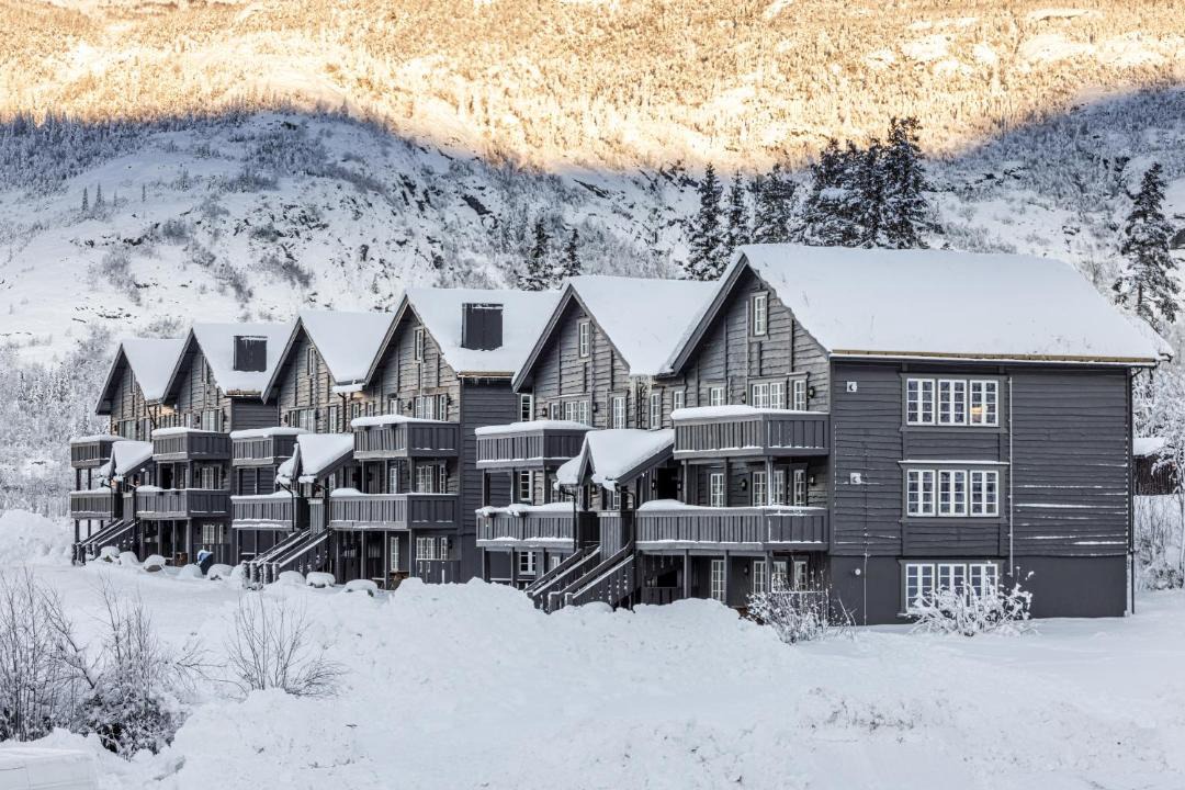Photo of Others in Hemsedal