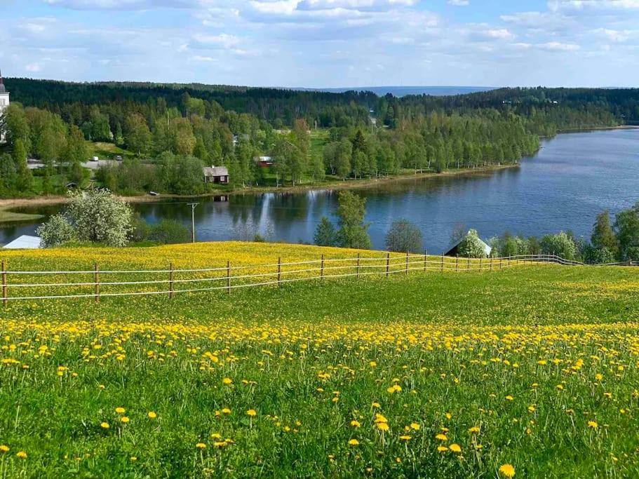 Photo of Outdoor in Follinge