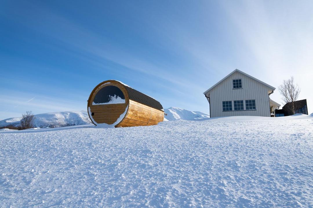 Photo of Others in Lyngen