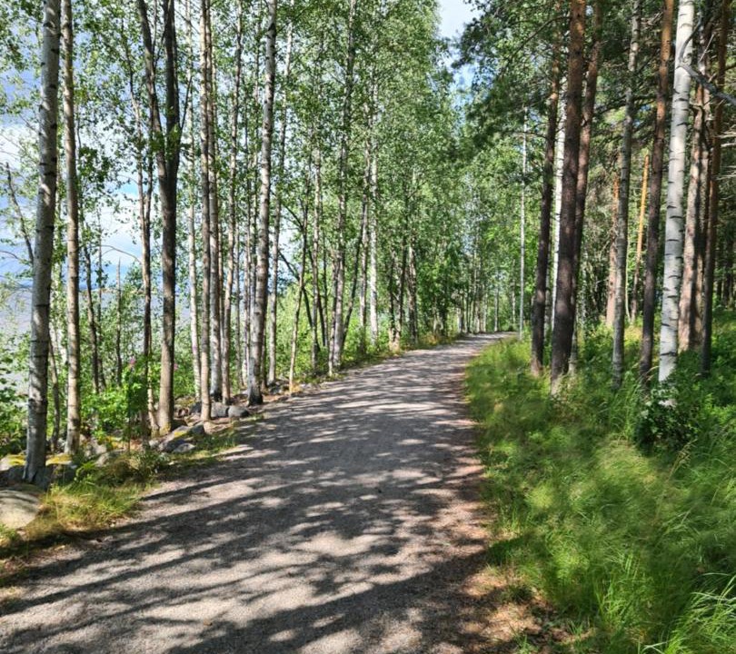 Photo of Others in Lovholmen