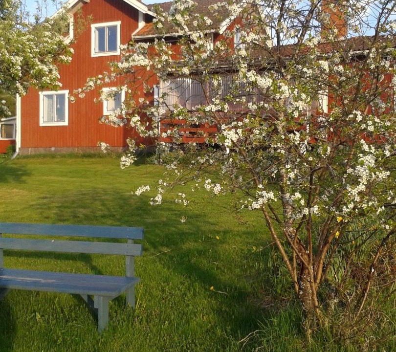 Photo of Others in Tallberg