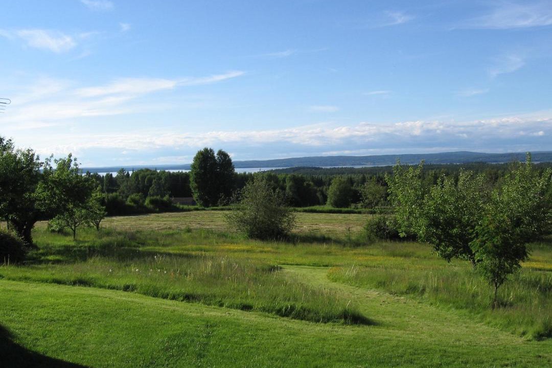 Photo of Others in Tallberg