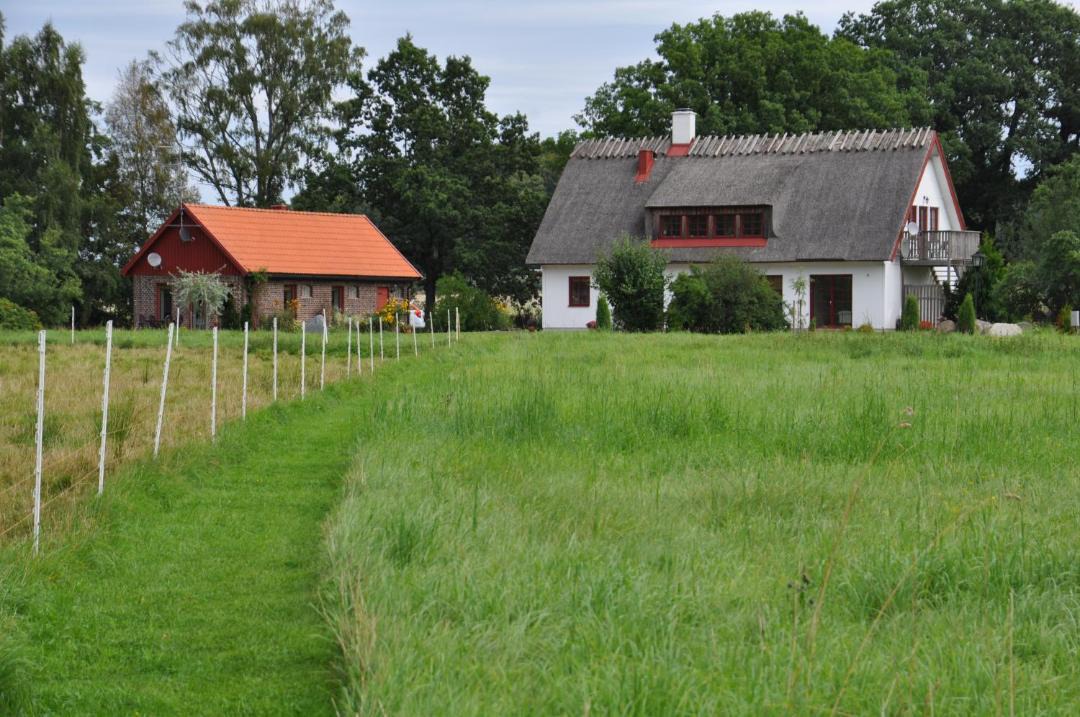 Photo of Others in Dalhem
