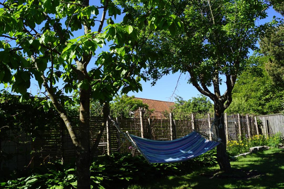 Photo of Others in Landskrona