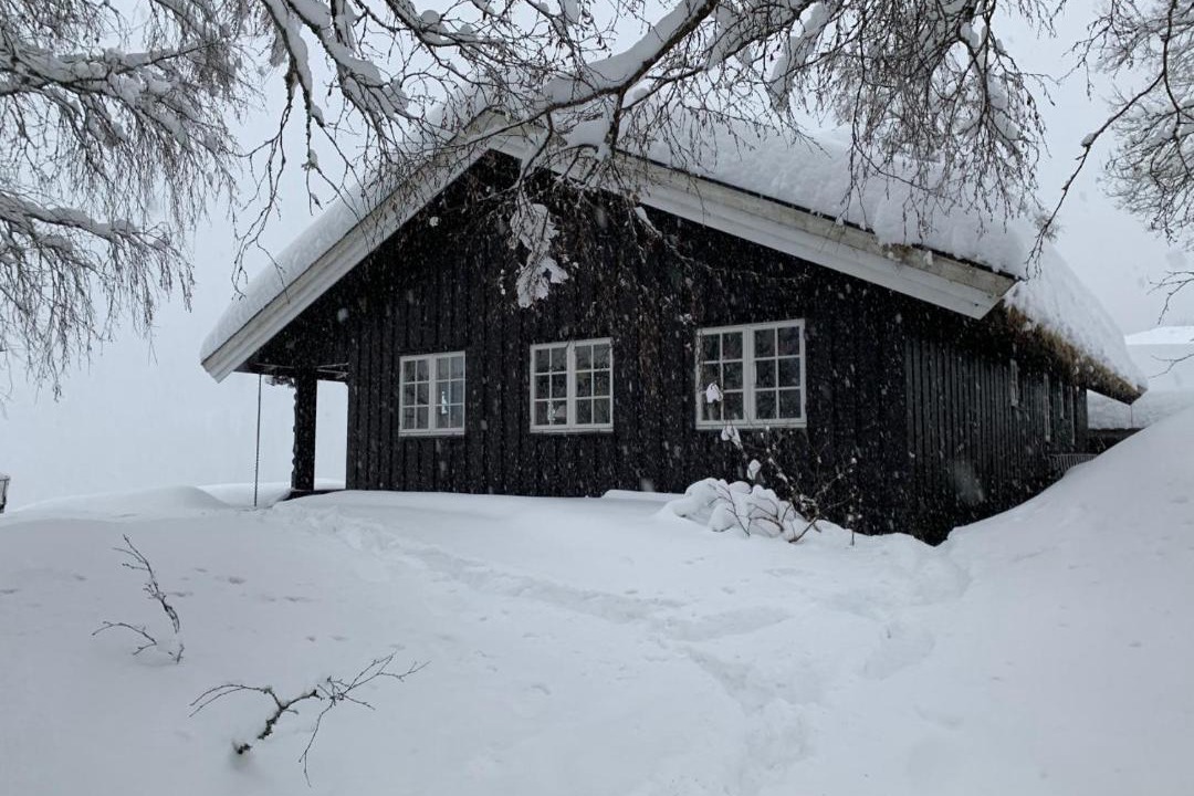 Photo of Others in Seljord