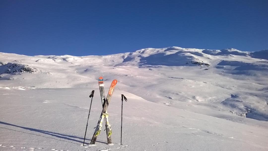 Photo of Others in Myrdal