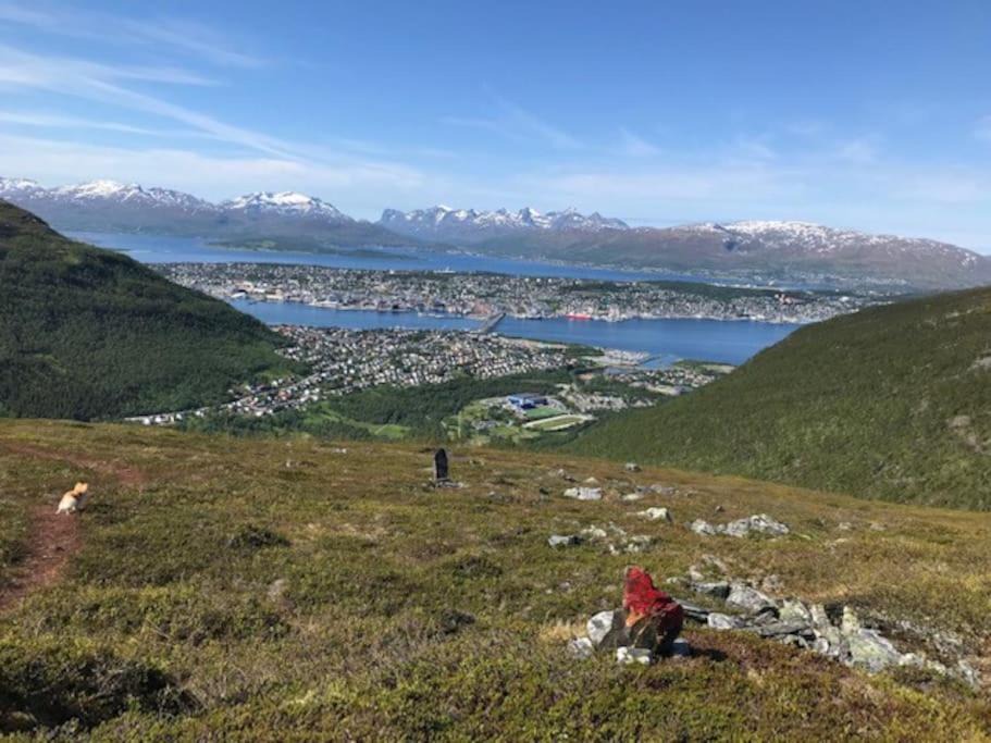 Photo of Outdoor in Tromso