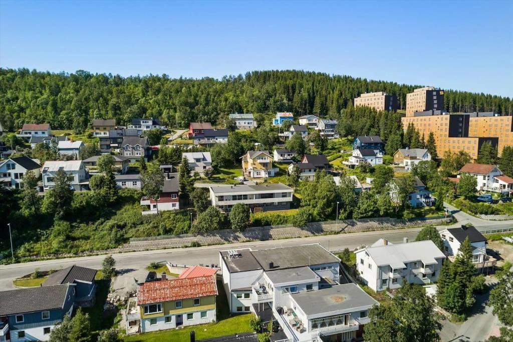 Photo of Others in Tromso
