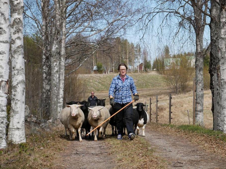 Photo of Human In Picture in Kopparnas
