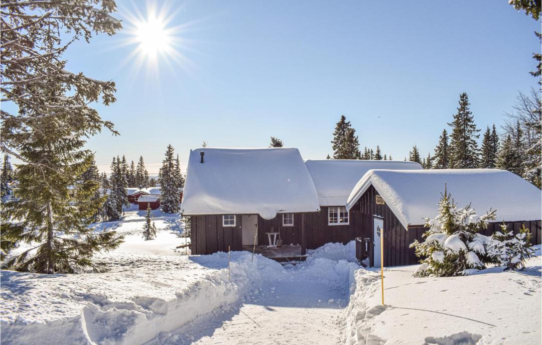 Photo of Others in Sjusjoen