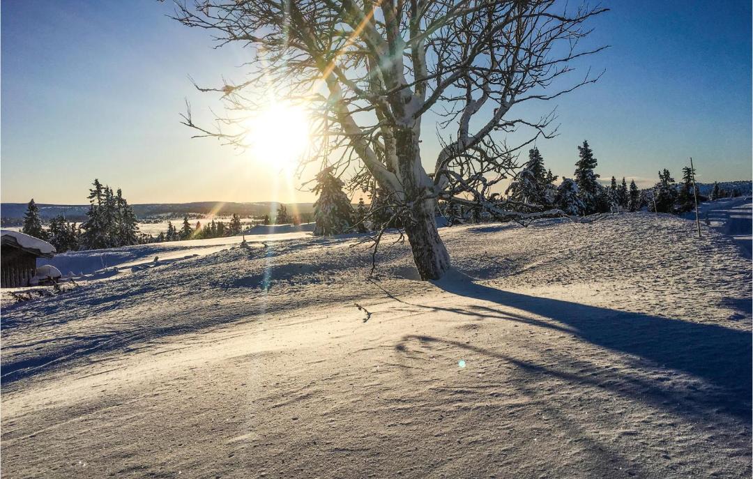 Photo of Others in Sjusjoen