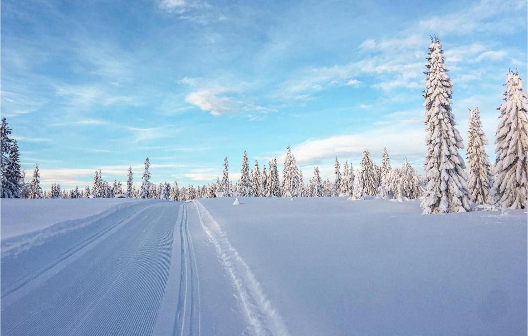 Photo of Others in Sjusjoen