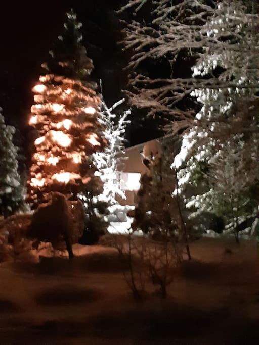 Photo of Others in Kontiolahti