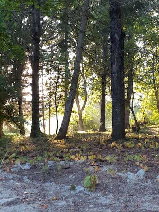 Photo of Others in Kontiolahti