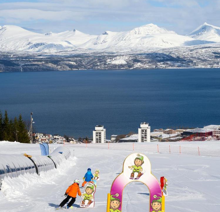 Photo of Others in Narvik