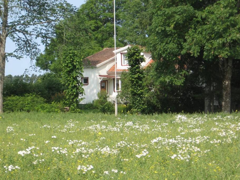 Photo of Others in Grastorp