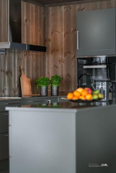 Photo of Kitchen in Hol Municipality
