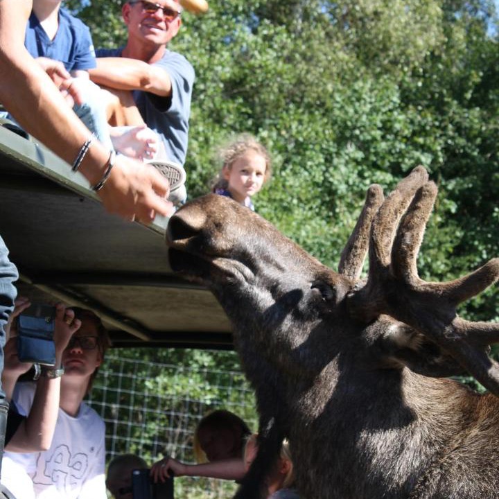Photo of Human In Picture in Jarnforsen