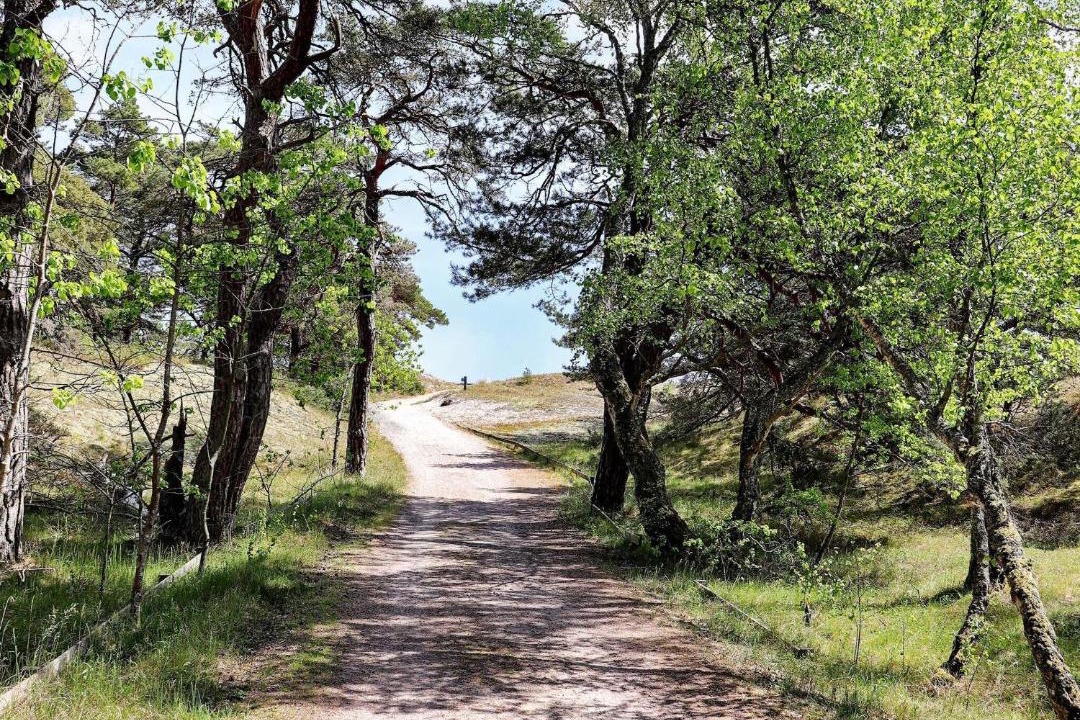 Photo of Outdoor in Yngsjo