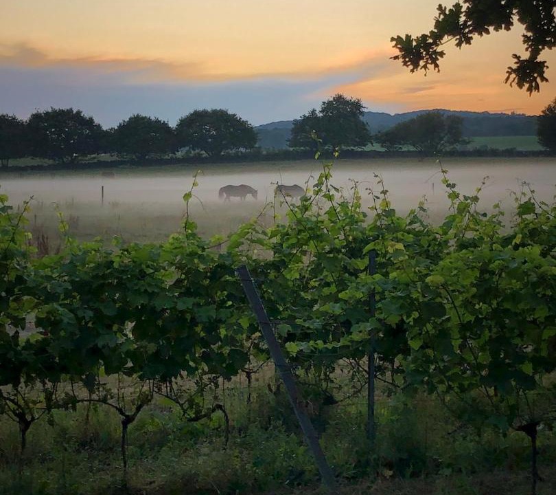 Photo of Outdoor in Nyhamnslage