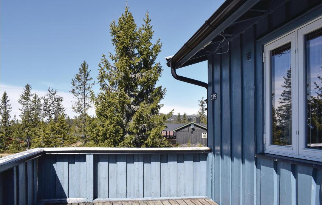 Photo of Others in Sjusjoen