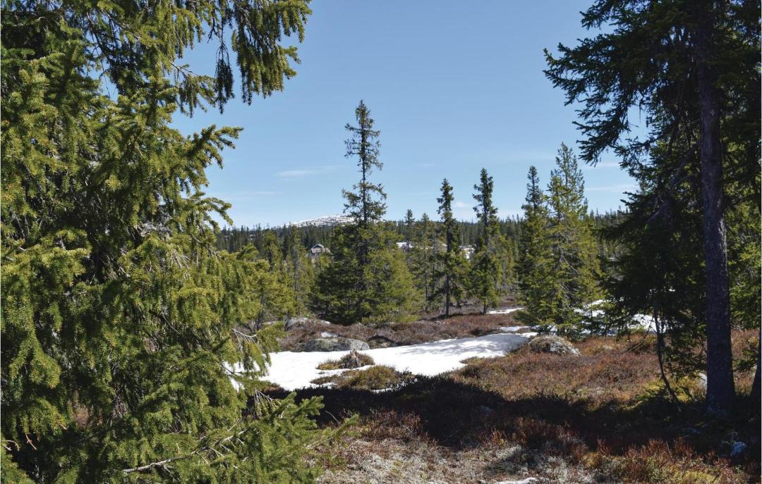 Photo of Others in Sjusjoen