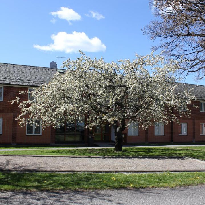 Photo of Others in Saltsjobaden