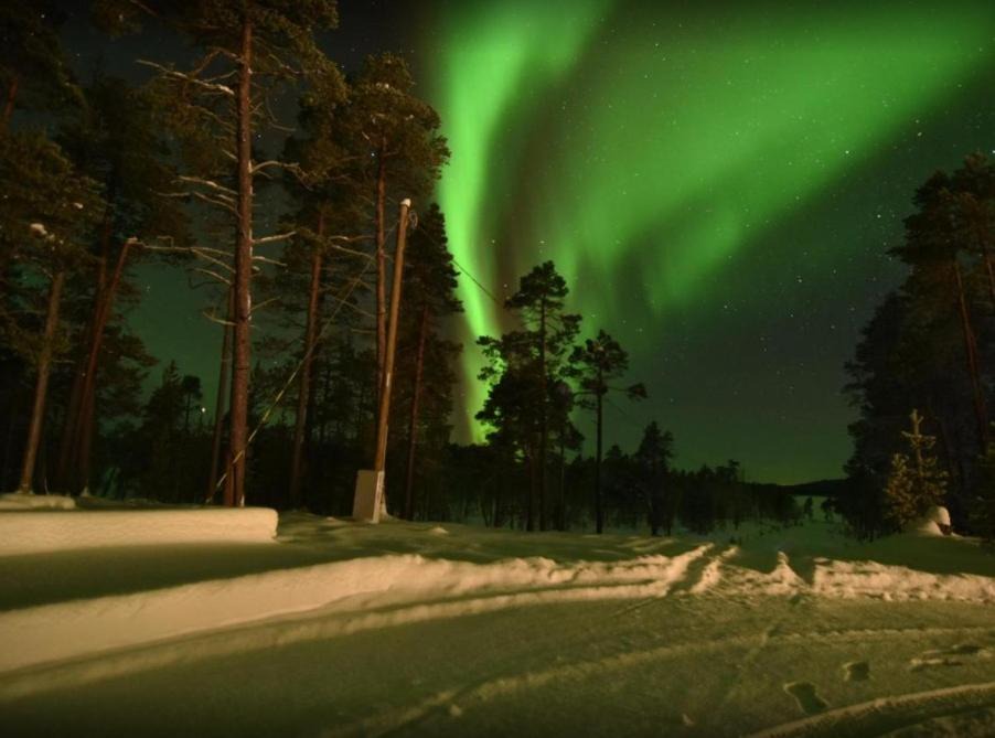 Photo of Others in Inari