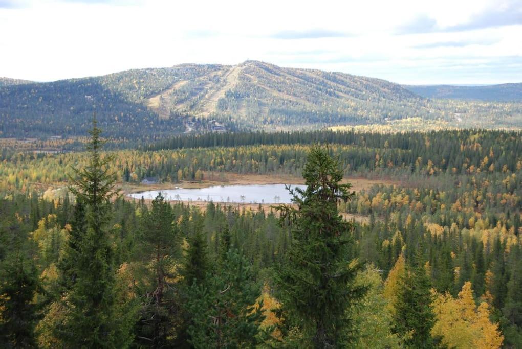 Photo of Others in Syote