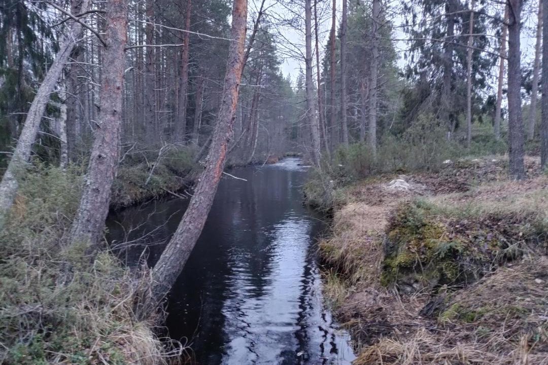 Photo of Others in Kehys-Kainuu