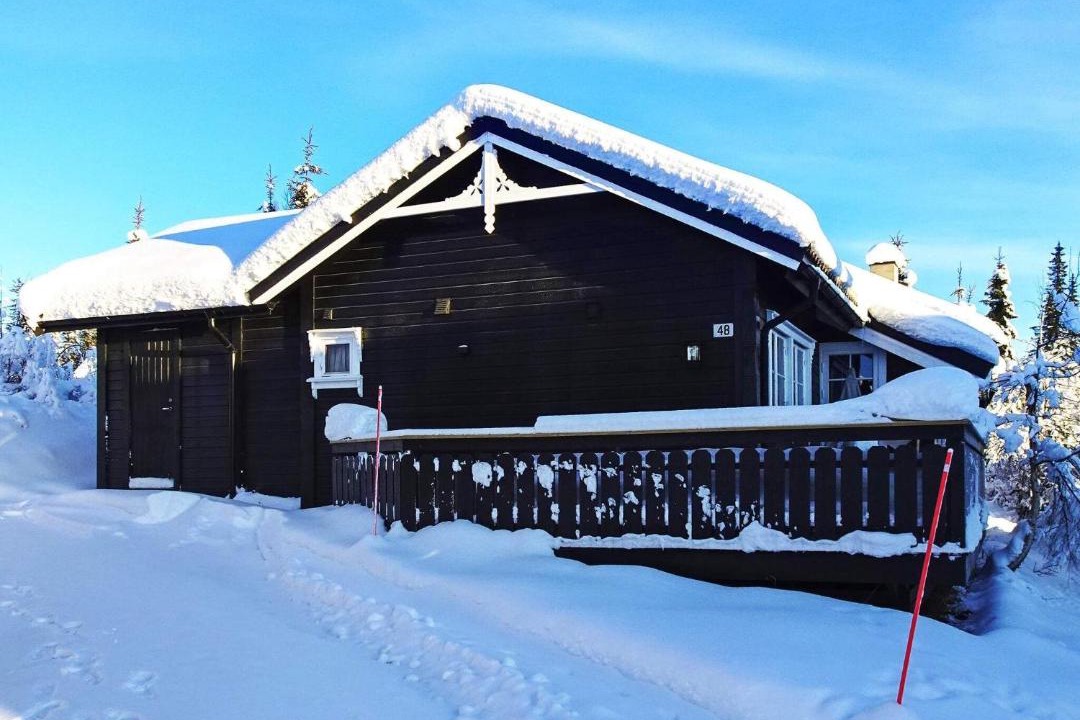 Photo of Others in Svingvoll