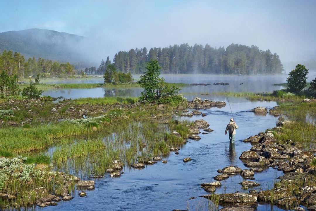 Photo of Others in Geilo