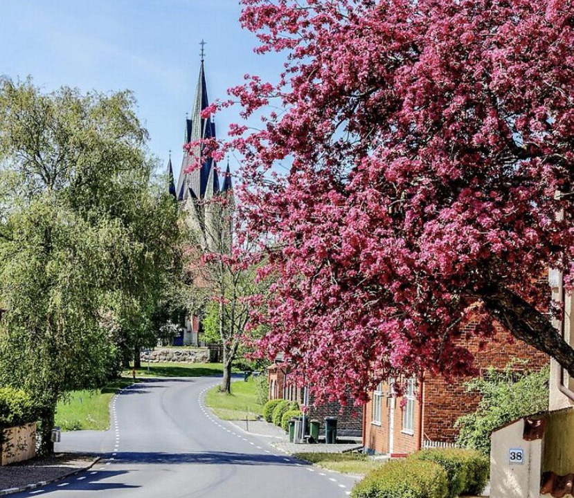 Photo of Others in Vellinge