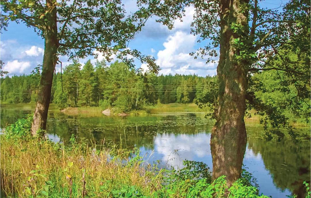 Photo of Outdoor in Vimmerby Municipality