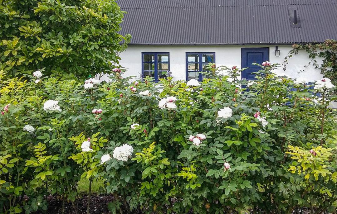 Photo of Buildings in Simrishamn