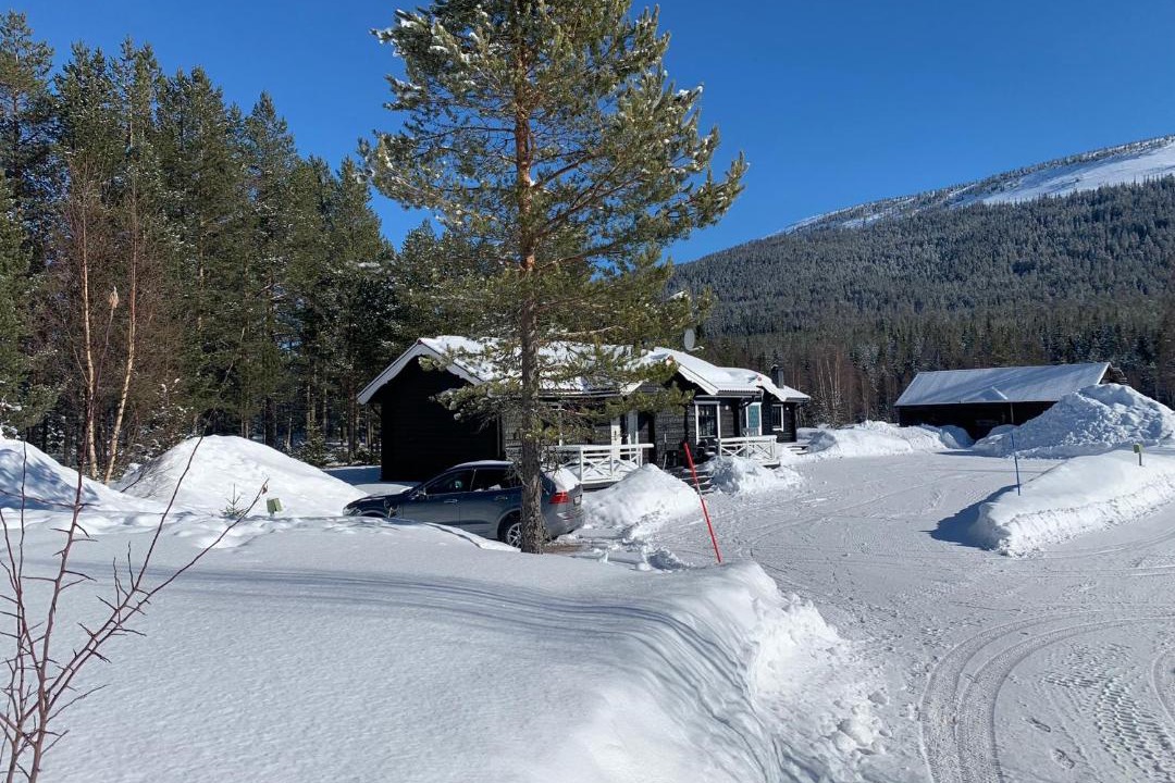 Photo of Others in Stoten