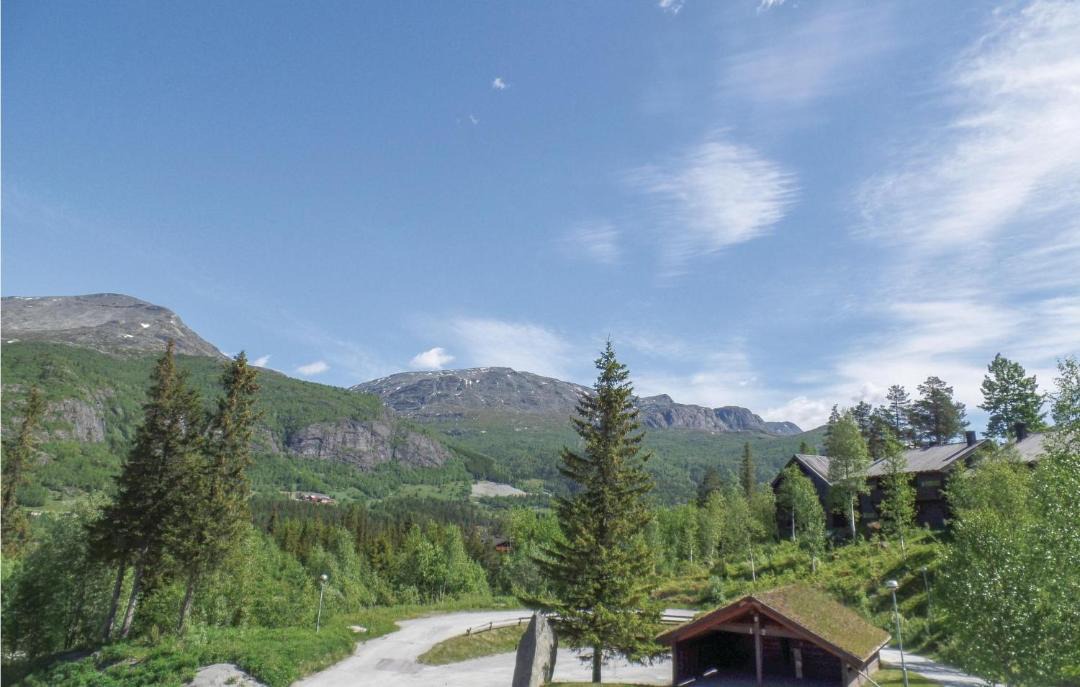 Photo of Others in Hemsedal