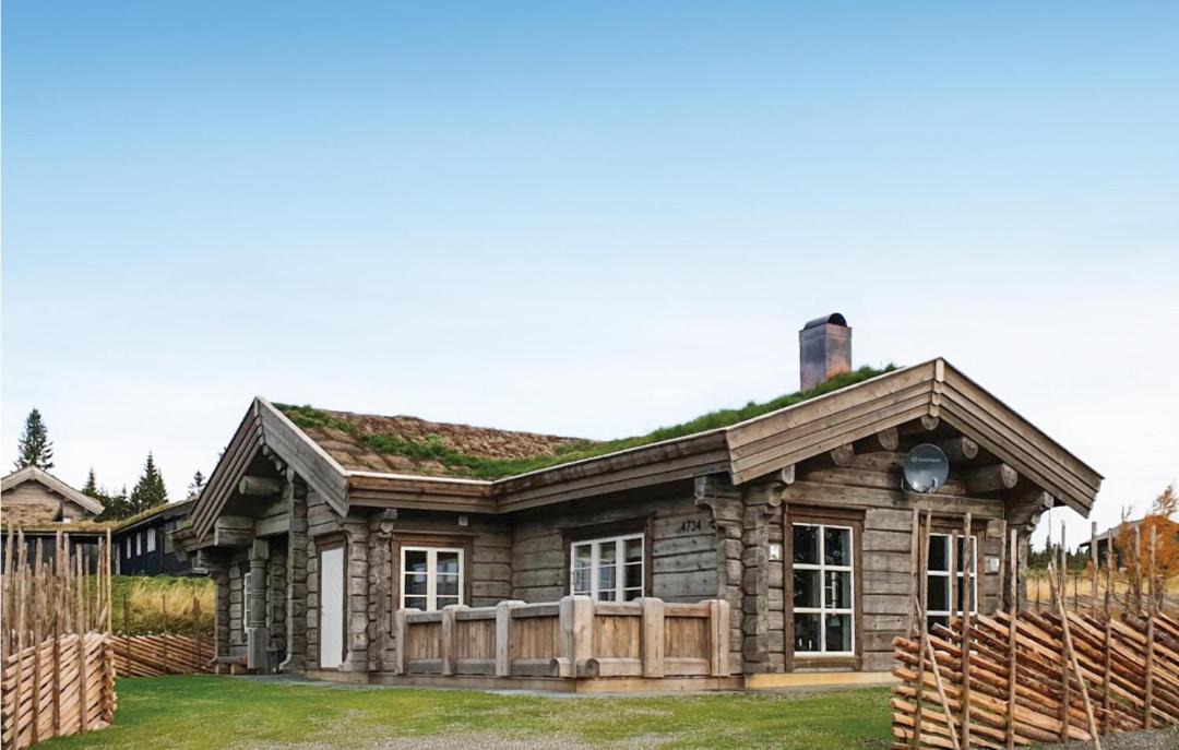 Photo of Others in Sjusjoen