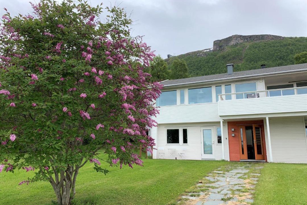 Photo of Buildings in Tromso